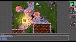 Tibia - Amazon Camp Quest