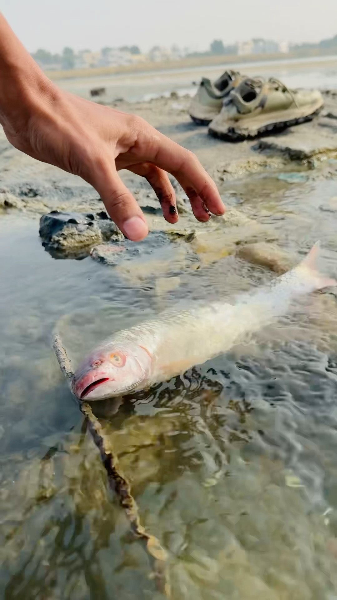 White ? Fishing In The Sea ?|