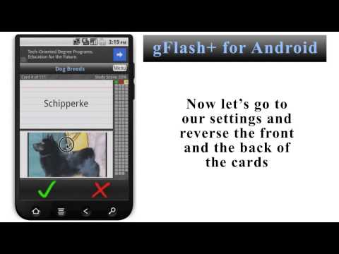 gFlash+ Flashcards Tests