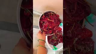 how to make red chilli powder at home #hindireels #cookingvideo