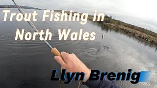 Epic days trout fishing at Llyn Brenig.