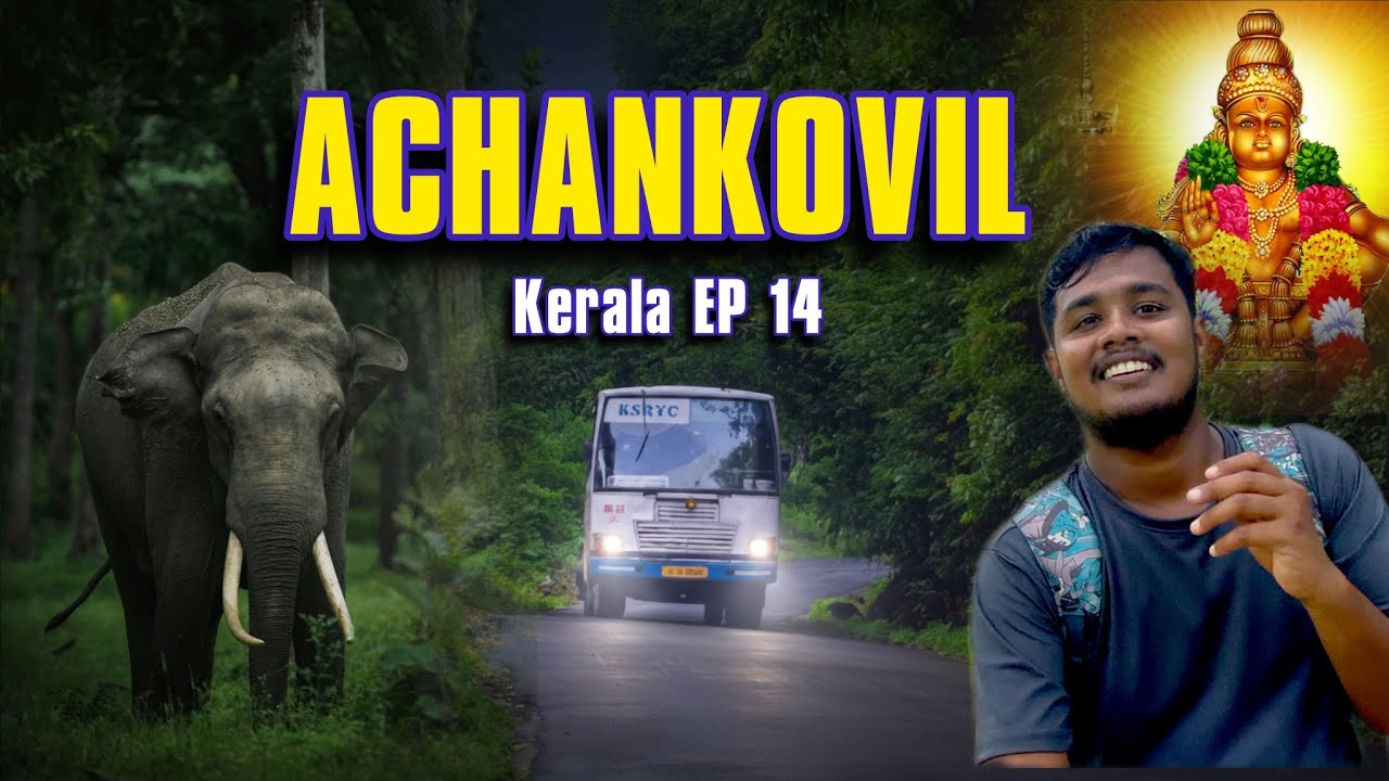 Achankovil Forest at Midnight! 😱 KSRTC Night Bus Ride Experience | Kerala 20K Trip EP14 | Tamil 