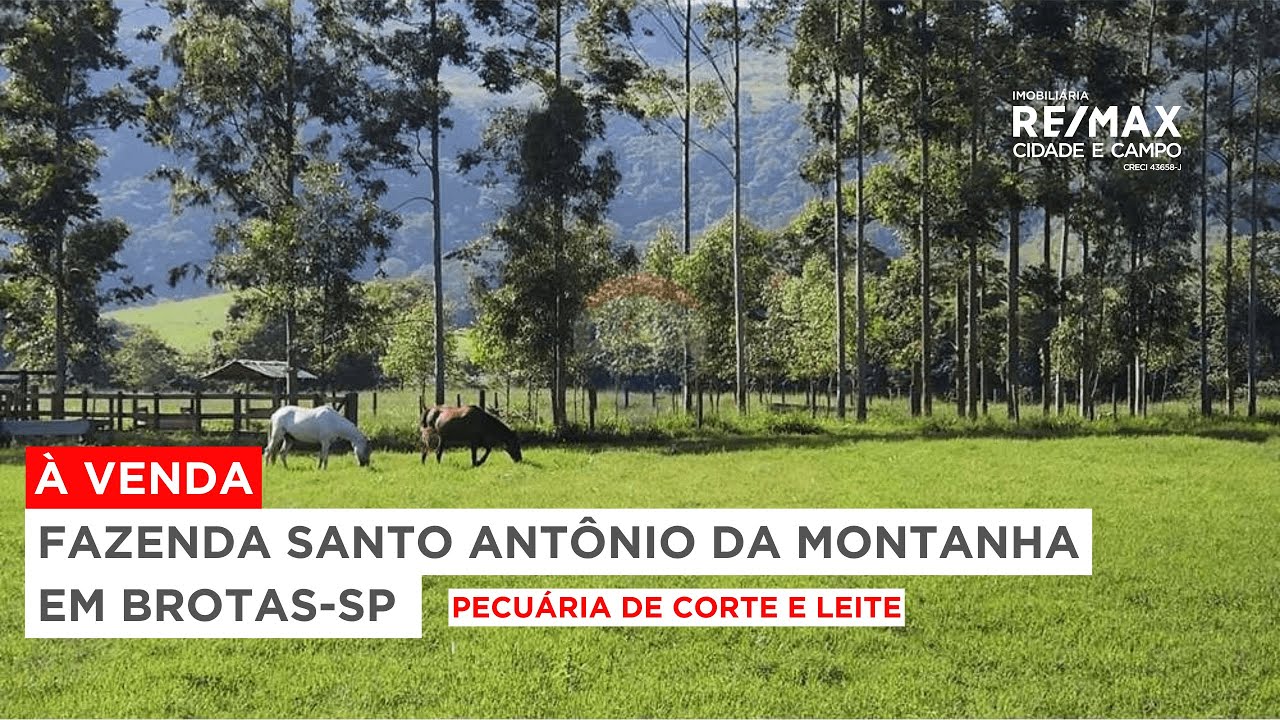À VENDA! Excelente fazenda 212 hectares para Leite e corte em BROTAS - SP - PORTEIRA FECHADA