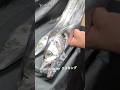 ⚠️65秒でわかる‼️【太刀魚（タチウオ）の意外な一面】丁寧に愛を持って捌くことは美味しさに比例する#japan #shorts #howto