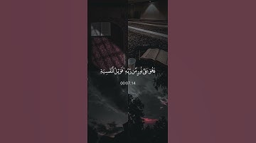 تلاوة عطرة بصوت الشيخ ماهر المعيقلي - سورة الزمر