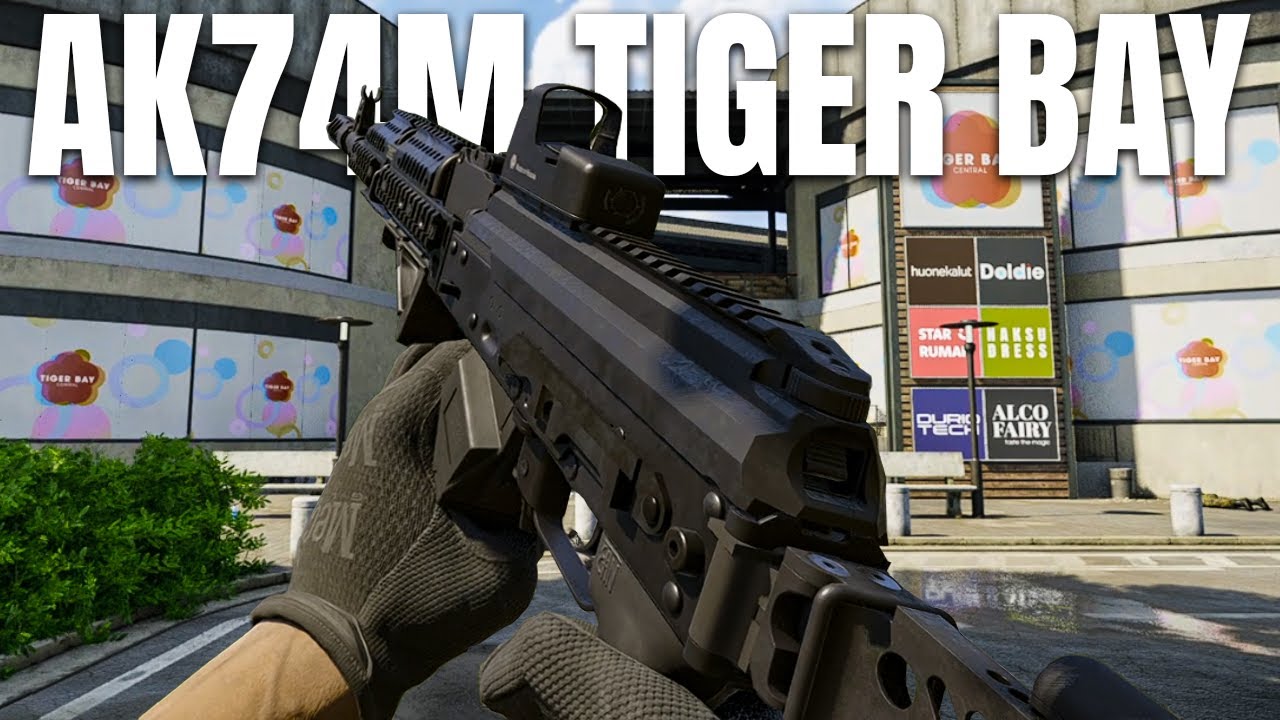 Я взял АК74М в залив Тайгер… Война в серой зоне