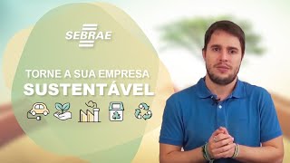 Sustentabilidade: O que é e como aplicar na sua empresa