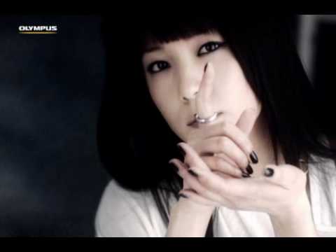 보아 올림푸스 E-System CF