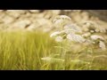 [Unreal5] Auto Landscape