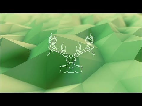 S.K.T ft. Rae - Take Me Away (Macky Gee Bootleg)