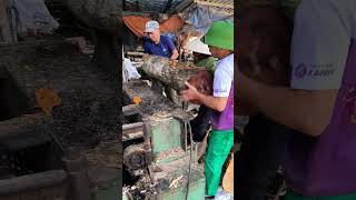 Rare Red Merbau Wood Sliced Thinly To 16mm woodworkingpreciouswoodbeautiful Woodveneerwood