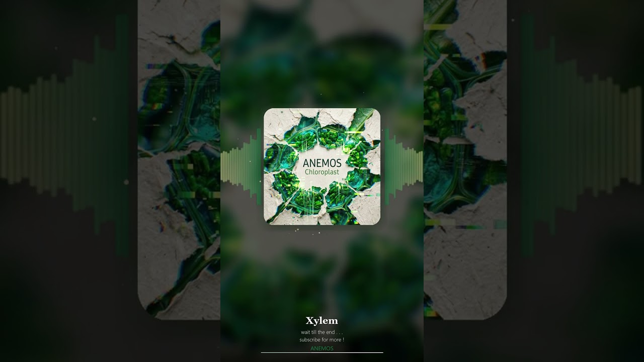 ANEMOS - Xylem #shorts adlı videoyu YouTube'da izle ANEMOS - Xylem #shorts adlı videoyu YouTube'da izle