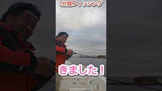 2026年3月19日 1分間フィッシング