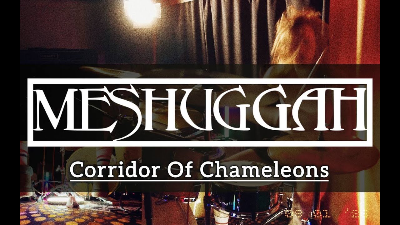 Meshuggah • Corridor Of Chameleons (Drums)