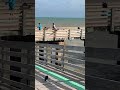 Jimmy On The Pier Dinner Shortvideo Jimmyonpier Millionaire Lifestyle Youtubeinfluencer Jimmy On The Pier Dinner Shortvideo Jimmyonpier Millionaire Lifestyle Youtubeinfluencer