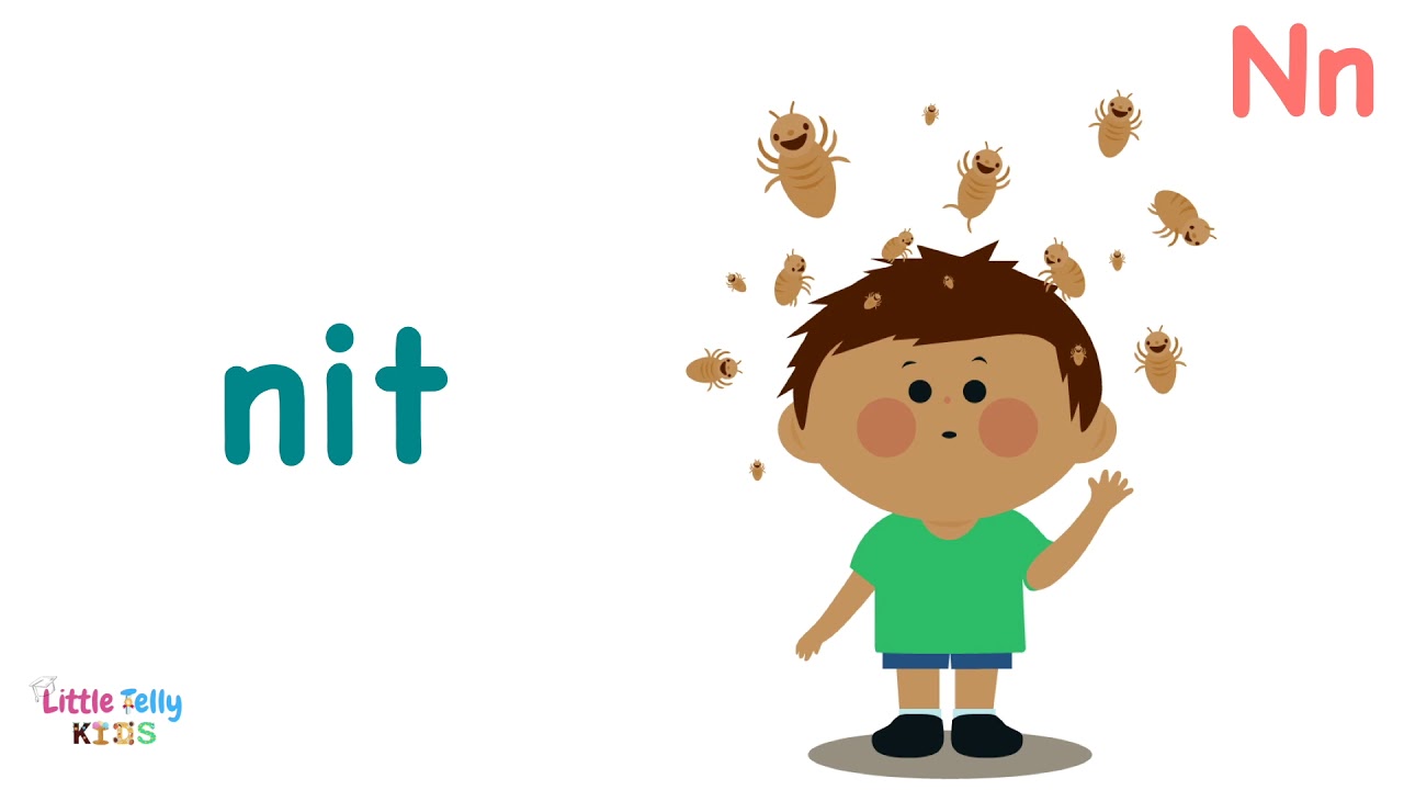 Words Starting With N - Learn Words that Start with N Sound with