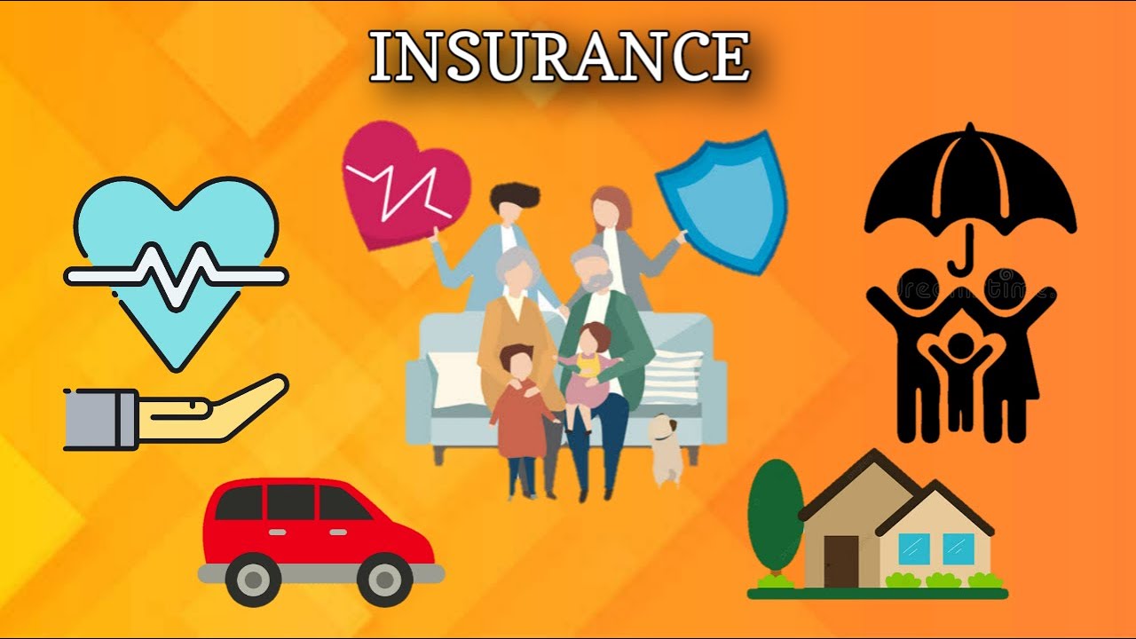 Legal Terms Of The Insurance Agreement YouTube