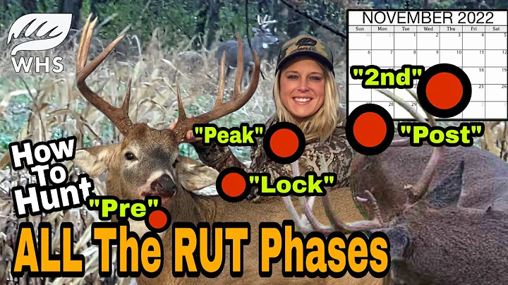 How To Hunt The ENTIRE Whitetail Rut