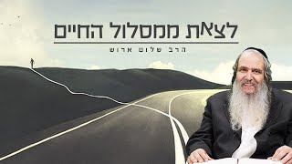 תצא ממסלול החיים | הרב שלום ארוש