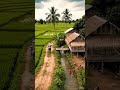 Village 🍃 #fyp #foryou #youtubeshorts #viral