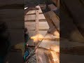 Making side fence for pigeon house! 🕊️🏠 #house #woodwork #wood #woodworking #woodcraft