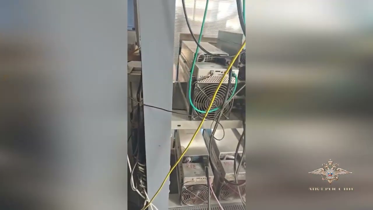 Нелегальные майнеры в Ленинградской области похитили более 80 млн кВт электроэнергии