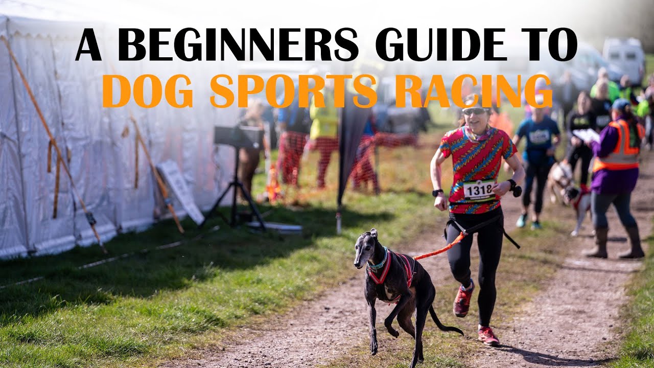 Dog Sports Racing - A Beginner's Guide to Race Day with Canicross ...