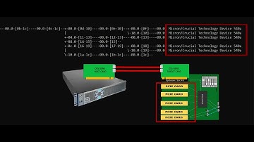 How to view OSS Gen5 5slot Expansion unit in LSPCI Tree Format
