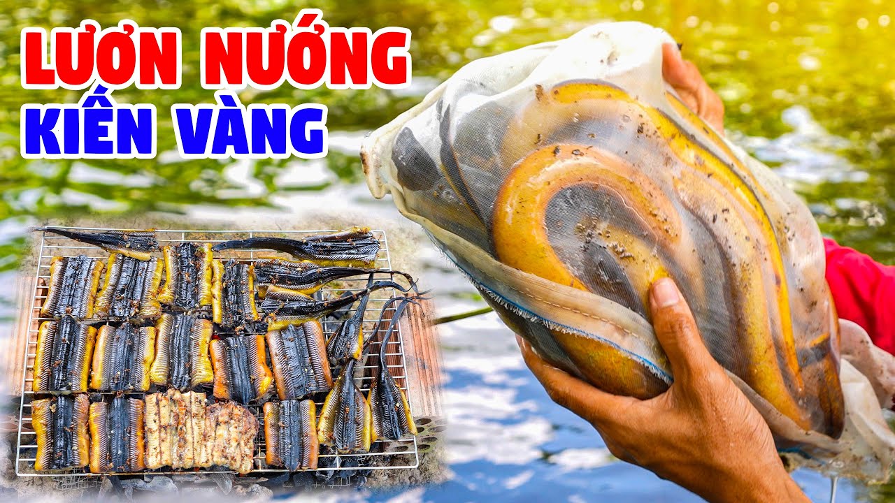 Lương Uớp Kiến Vàng Nướng, Bắt Ong Vò Vẻ Hung Dữ Cạnh Nhà Dân