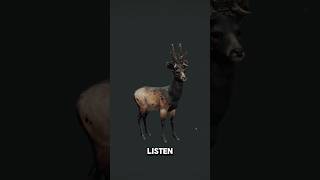 Great One Roe Deer #2! the Hunter | Call of the Wild #cotw #thehunter