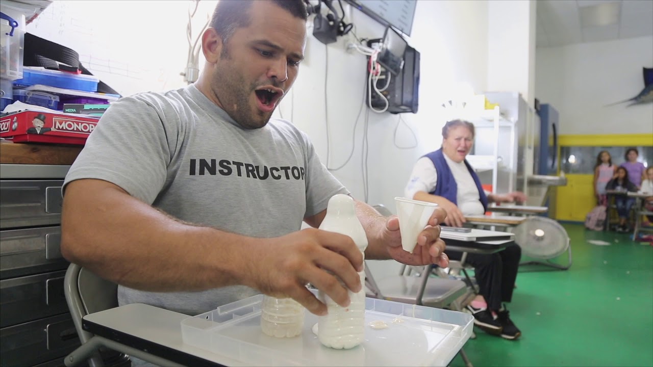 Naples After School Science Experiment Hydrogen Peroxide and Dish