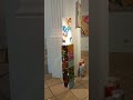 Kunst ist Leben - Leben ist Kunst !