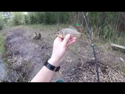 ფიჩორი კარასები