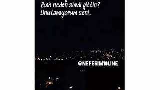 Bak Neden Si̇mdi̇ Gi̇tti̇n Nefesim Online