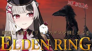 【 ELDENRING 】フロムゲー完全初見だけど遺灰無しでケイリッドのボス倒しまくる.ᐟ.ᐟ【 エルデンリング 10日目 】【 姫守ほたる/るみぷろ 】#エルデンリング #新人vtuber