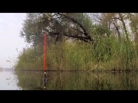 Предзимняя ловля белой рыбы поплавком. О рыбалке всерьез. Выпуск 325HD Предзимняя ловля белой рыбы поплавком. О рыбалке всерьез. Выпуск 325HD