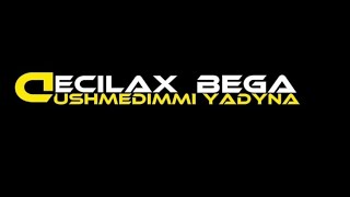 Decilax & Bega - Dushmedimmi Yadyna // Lyrics Video // Clipedit: Reskeymusic🍀