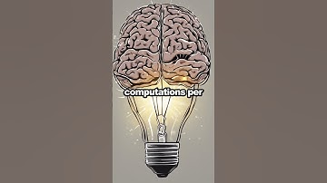 Is Your Brain More Powerful Than the World