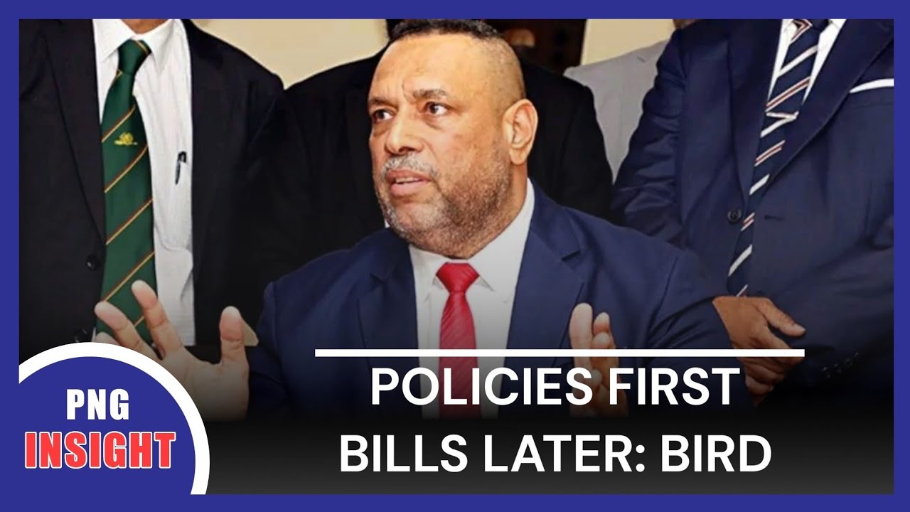 ПОЛИТИКА. ПЕРВЫЕ ЗАКОНОПРОЕКТЫ. ПОЗЖЕ: ПТИЦА