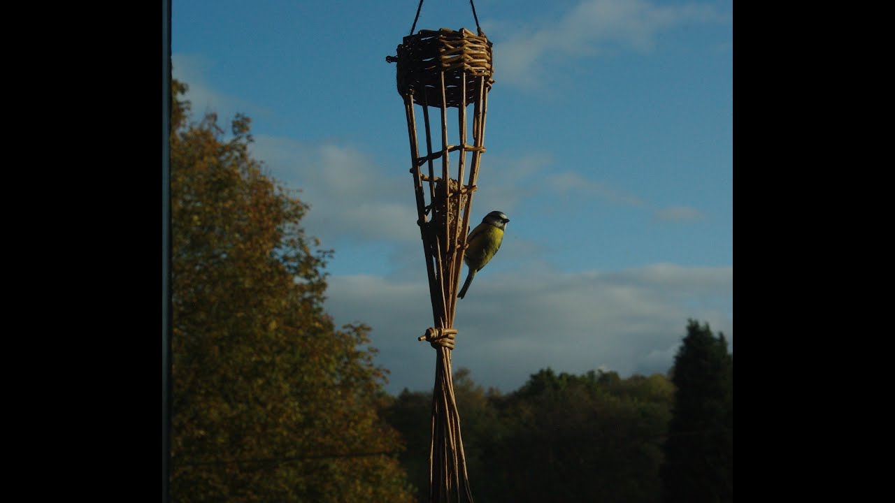 Willow Bird Feeder Tutorial