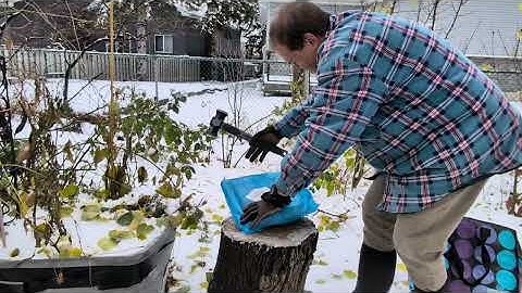 An experience of FUN ON VIDEO: I BREAK SOME FROZEN BACON LOG 🪵😁 🥓🥓🥓🪵🪵!!!!! 