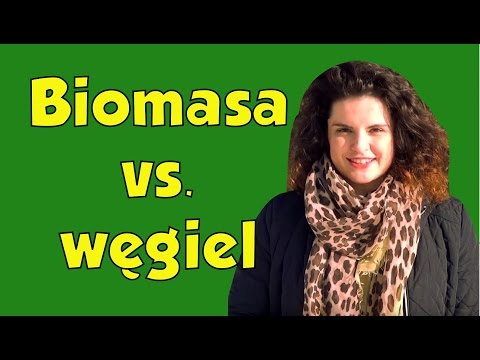 Wideo: Czy biomasa jest dobra czy zła?