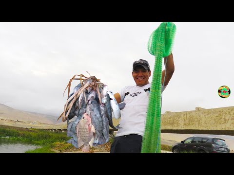 Chancla de Perro - Pescador y Atarraya. @buena_pesca