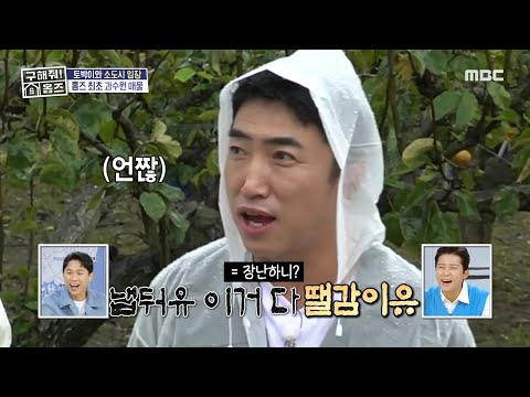 ＂냅둬유 이거 다 땔감이유＂ 장동민이 <strong>배나무</strong> 권리금으로 알려주는 충청도 화법🤣, MBC 241114 방송