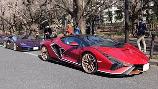ULTRA RARE Lamborghini Sian and Countach LPI800-4 Shut Down Tokyo!