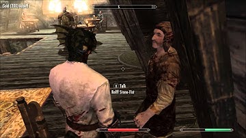 [ Skyrim] Argonian thief fights back racism