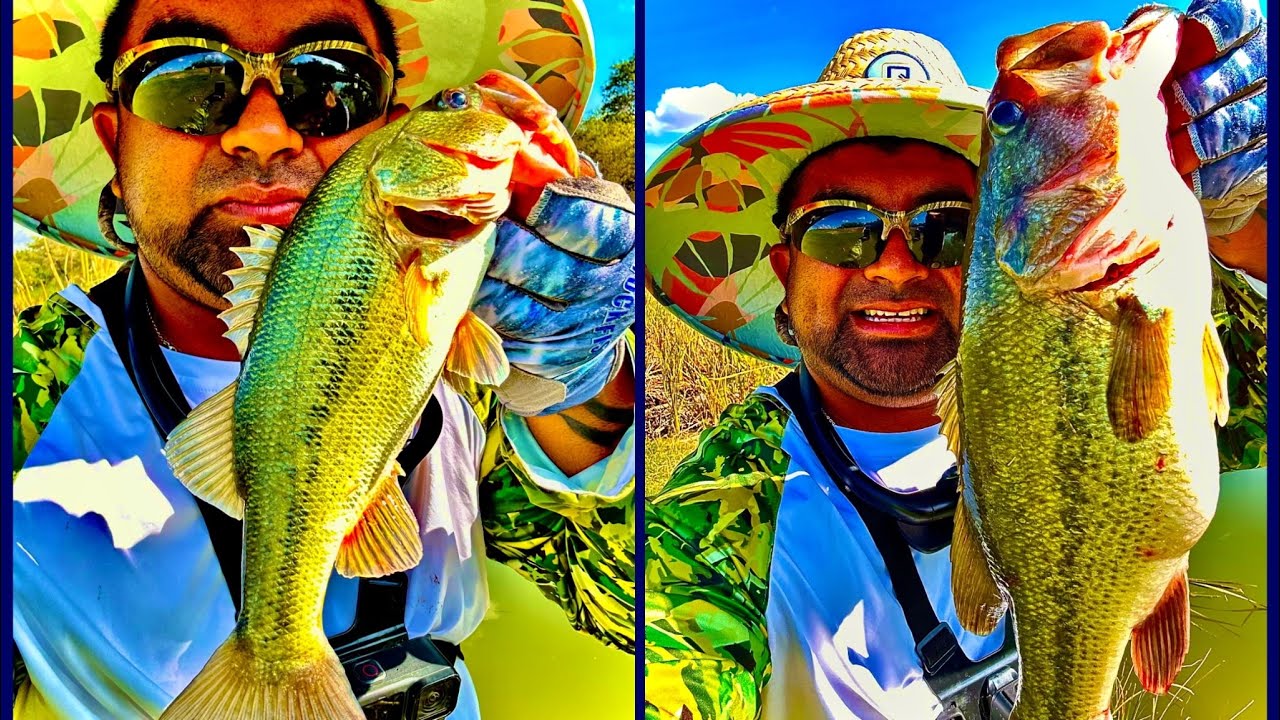 Pescando Bass con Crankbaits Y Spinners Grande Capturas una Aventura increíble 