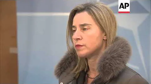 Foreign policy chief on Ukraine crisis