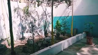 Local Comercial - Comas