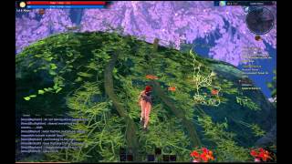 Why you can climb ladders in TERA